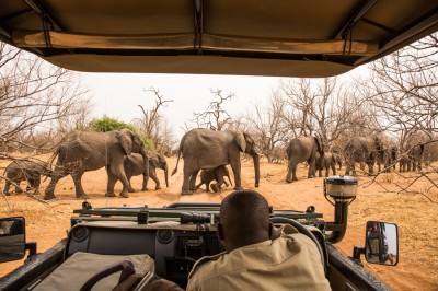 PN Chobe
