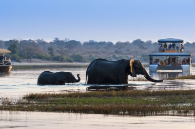 PN Chobe