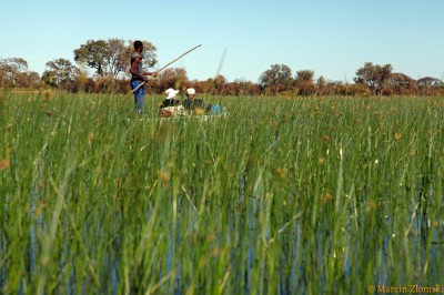 Delta Okawango