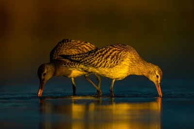 fot. Paweł Czapczyk