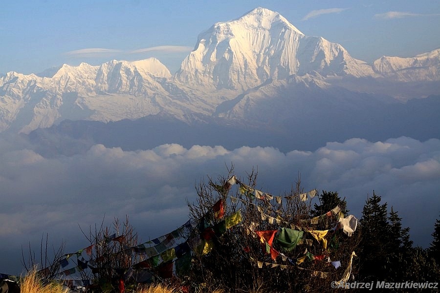 Widok na ośmiotysięcznik Dhaulagiri ze szczytu Poon Hill