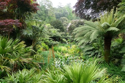 Trebah Garden