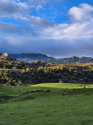 fot. Sebastian Kopera