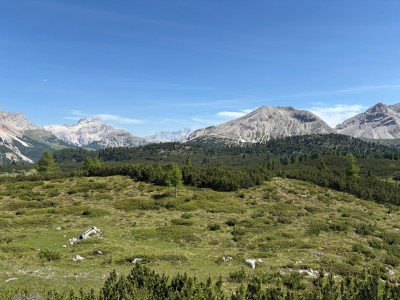 fot. Mikołaj Klimek