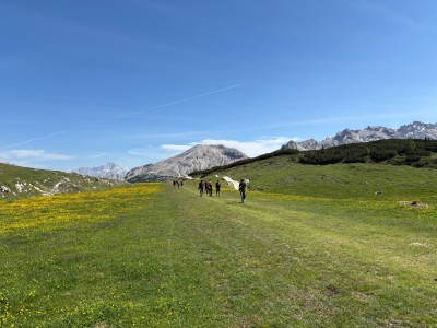 fot. Mikołaj Klimek