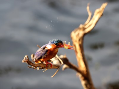 fot. M. Przystański