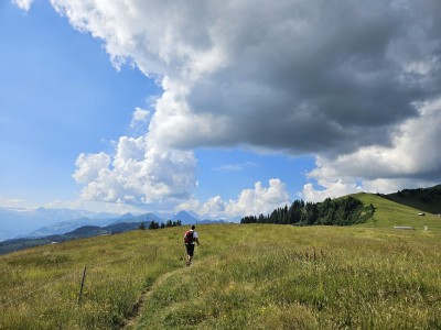 Wędrówka przez alpejskie łąki (fot. Estera Motyl)