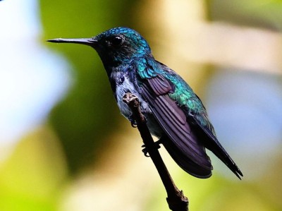 fot. Hubert Stelmach