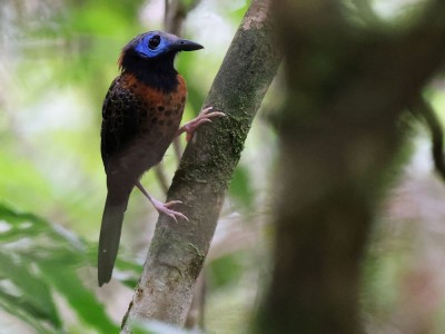 fot. Hubert Stelmach