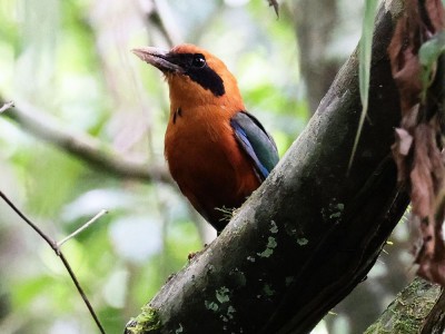 fot. Hubert Stelmach