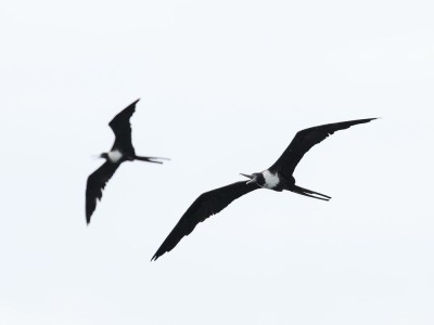 fot. Hubert Stelmach