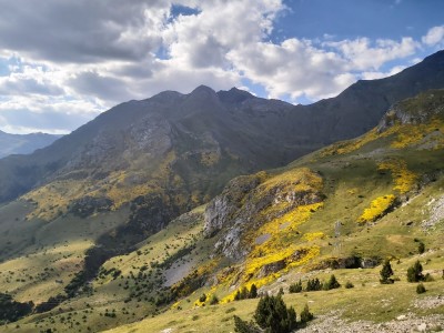 W Pirenejach, fot. Sebastian Kopera