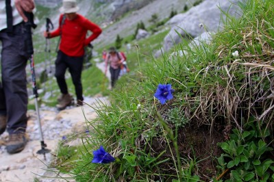 Dolina Ordesy, fot. T. Liptak