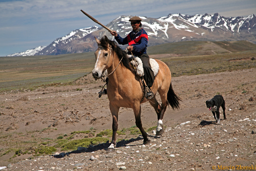 Gaucho