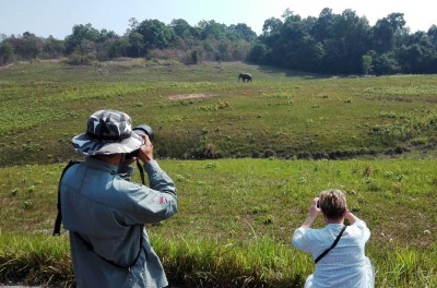 Obserwacja słoni indyskich w PN Khao Yai (fot. S. Odrzykoski)