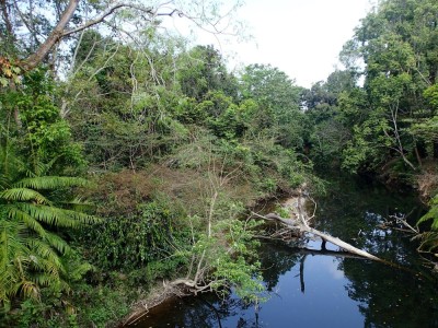 PN Khao Yai (fot. S.Odrzykoski)