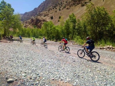 Dojazd na miejsce pikniku