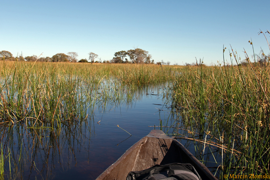 Delta Okawango