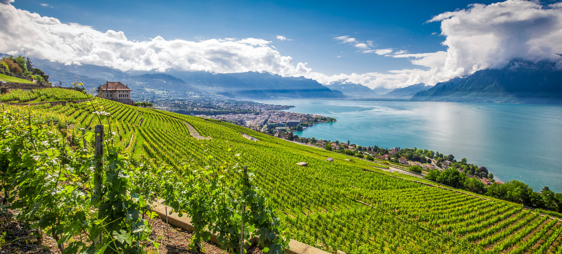 Panorama Alp | Jezioro Genewskie i Matterhorn