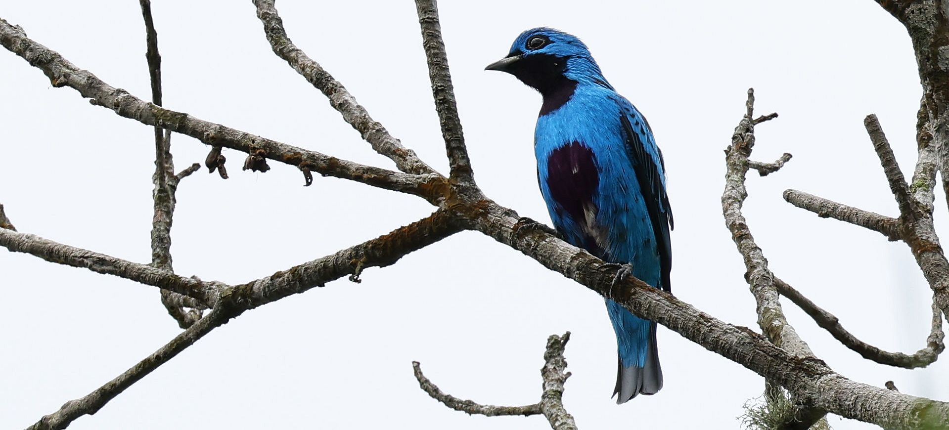 Panama - tropikalny łącznik dwóch Ameryk