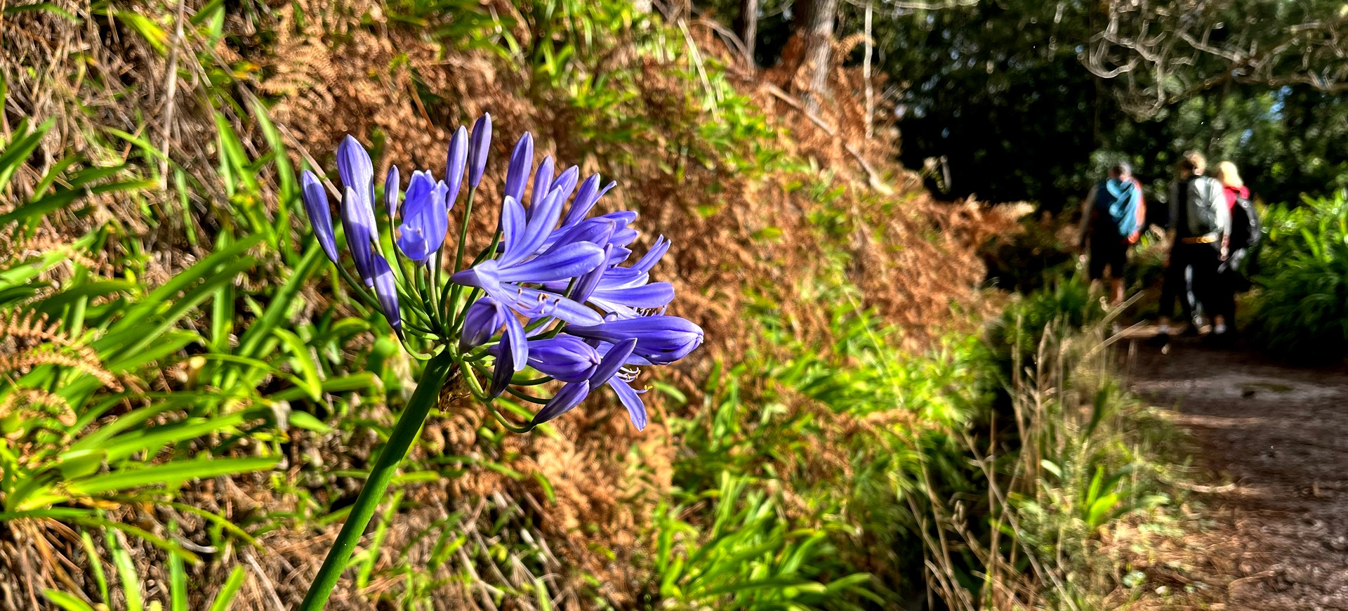 Madera okiem przyrodnika