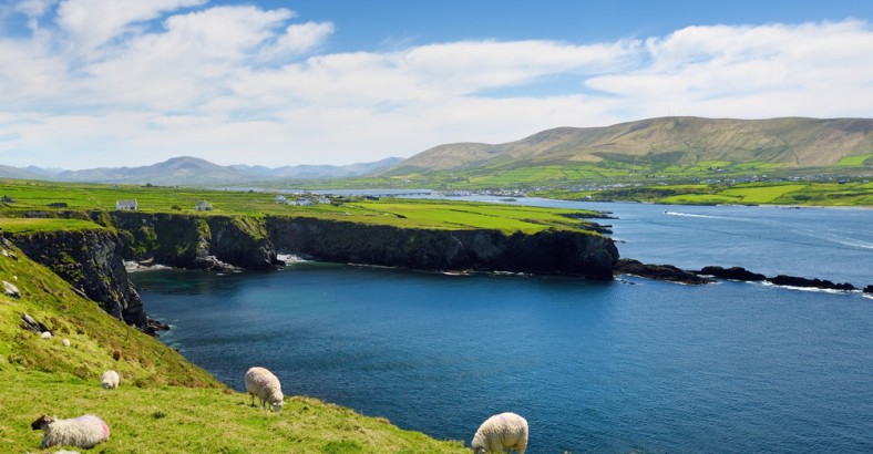 Irlandia - wszystkie odcienie zieleni