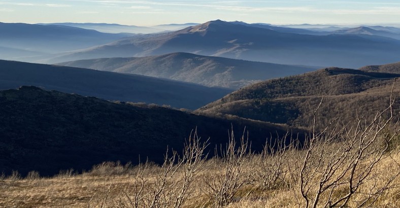 Weekend z ptakami - Bieszczady